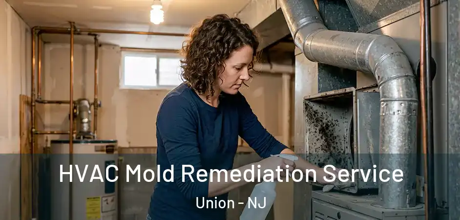 HVAC Mold Remediation Service Union - NJ